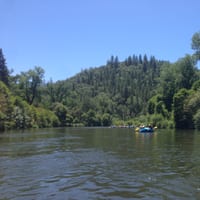 IMG_7113.JPG