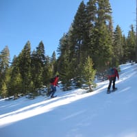 IMG_0560.JPG