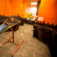 wdhalloween-9030.jpg
